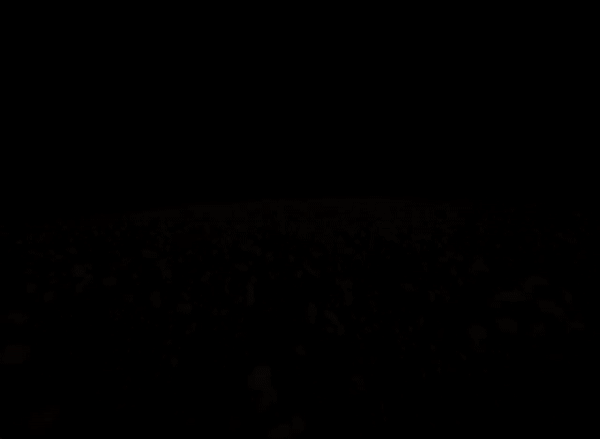 animation of a webpage that, as it scrolls down, moves in the z-axis through a pair of giant hands that rests among a cotten field, which are rendered through photogrammetry and point clouds